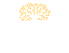 MEGAMADERAS